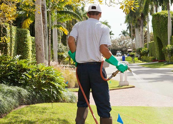 About Pound Ridge NY Pest Control